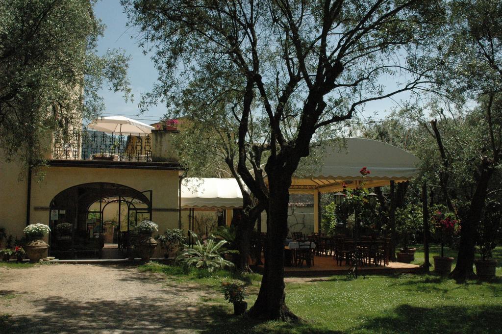 Antico Uliveto Casa de hóspedes Seravezza Exterior foto