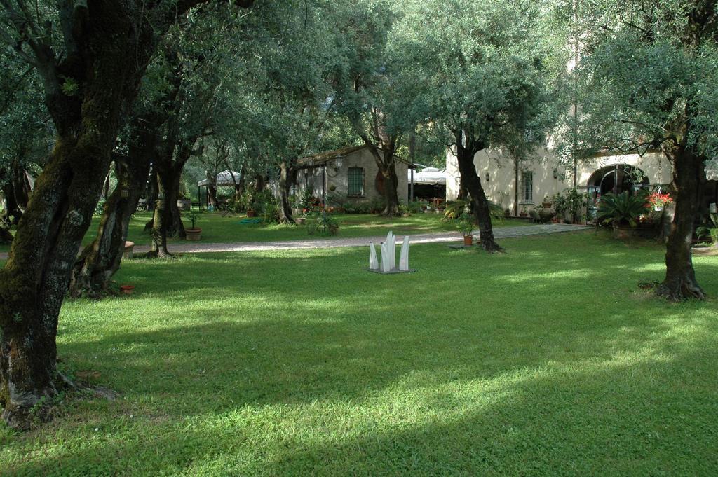 Antico Uliveto Casa de hóspedes Seravezza Exterior foto