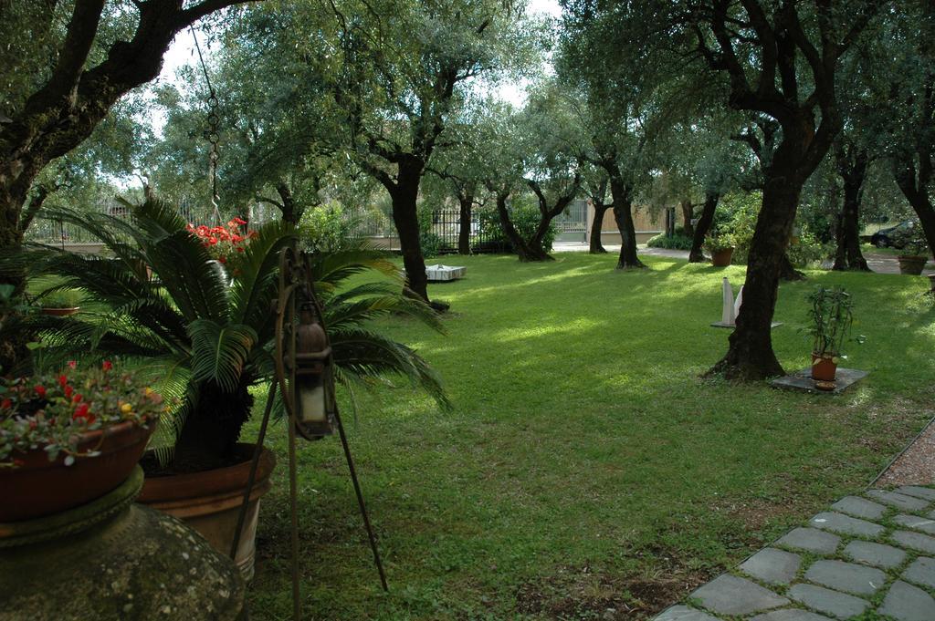 Antico Uliveto Casa de hóspedes Seravezza Exterior foto