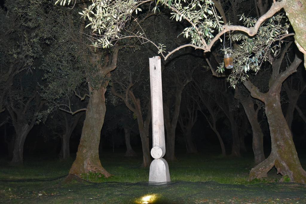 Antico Uliveto Casa de hóspedes Seravezza Exterior foto