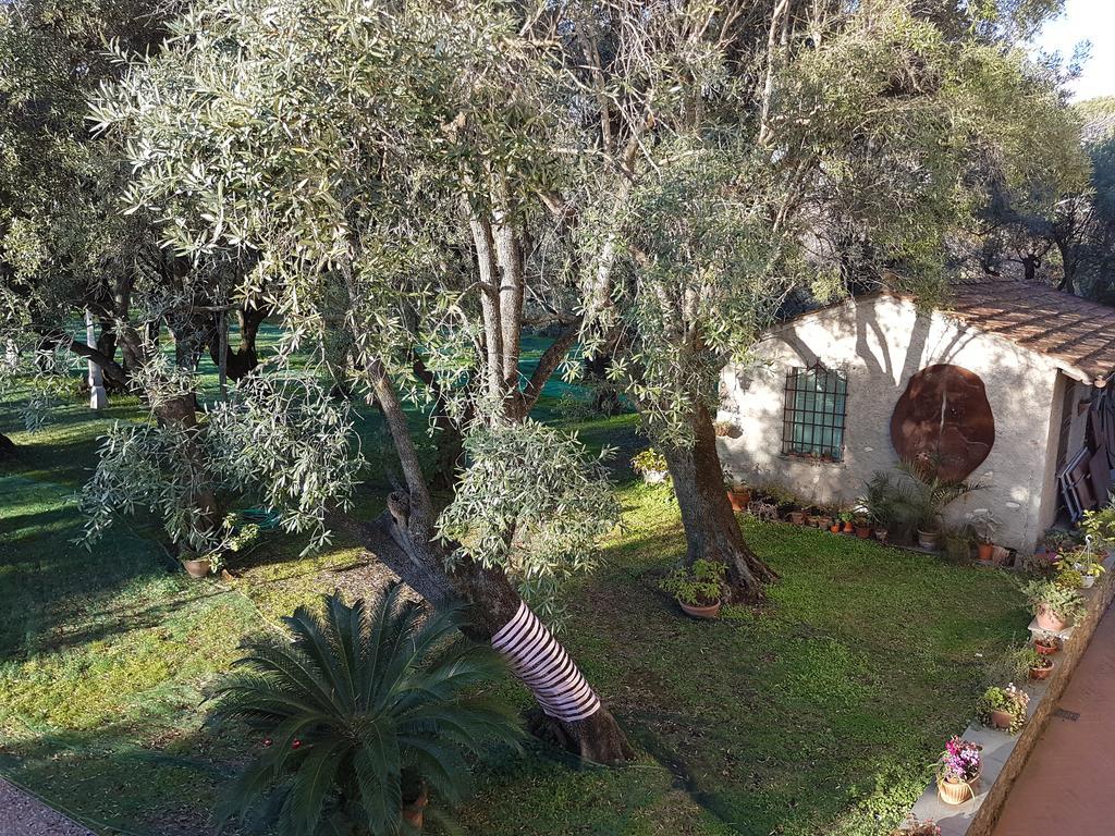 Antico Uliveto Casa de hóspedes Seravezza Exterior foto