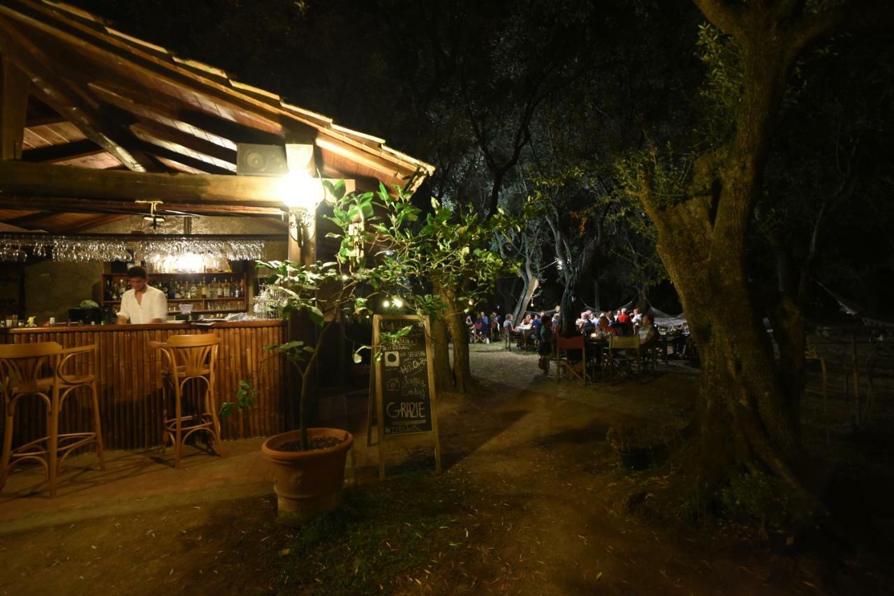 Antico Uliveto Casa de hóspedes Seravezza Exterior foto